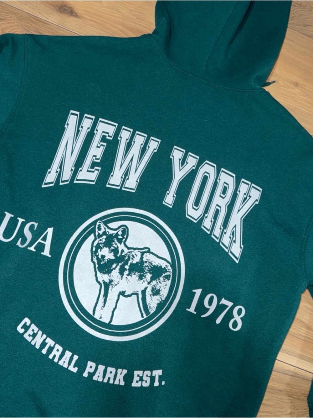 Forever 21 NYC New York City Central Park Pullover Hoodie Men’s Med Green NWOT